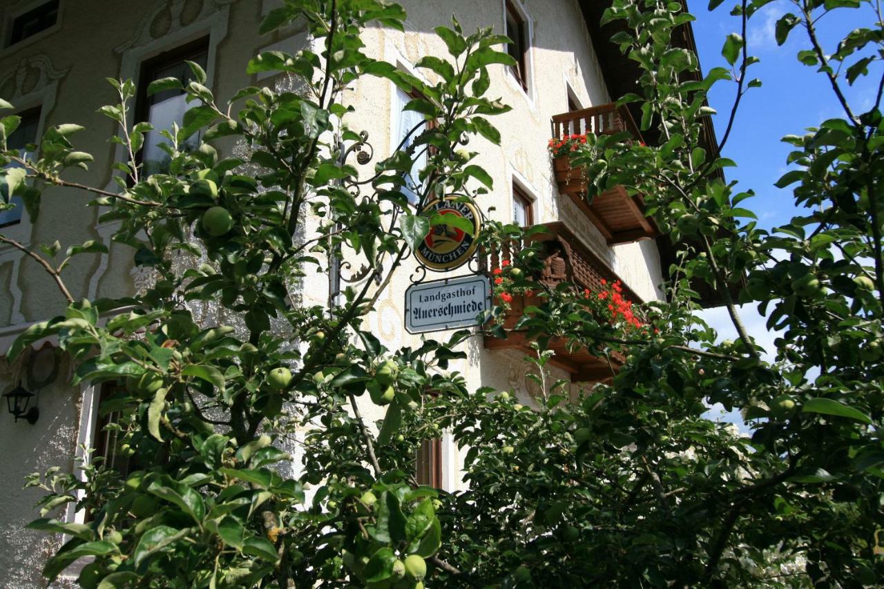 Landgasthof Auerschmiede Іршенберг Екстер'єр фото